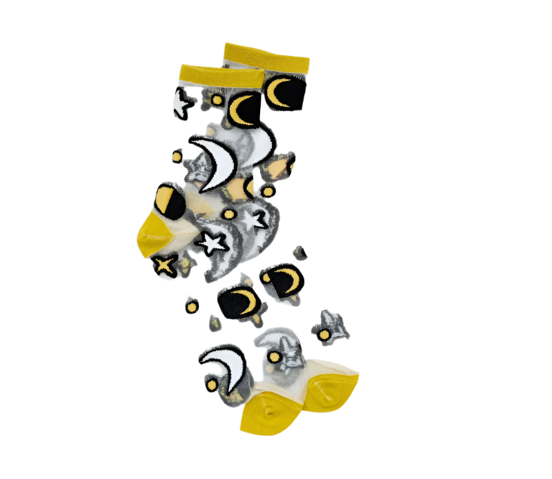 A pair of stylish embroidered mesh ankle socks featuring celestial designs with moons, stars, and botanical motifs in lavender and sunshine yellow trims.