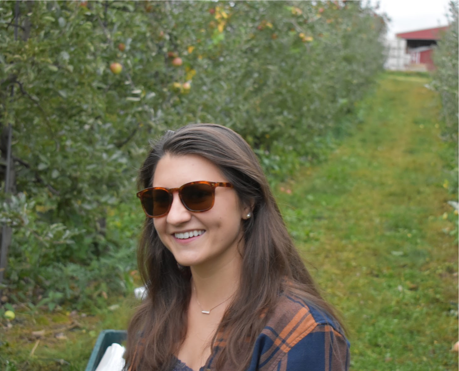 Kozy Cruiser Tortoise eyewear featuring a stylish tortoise shell frame and Zeiss CR39 lenses.