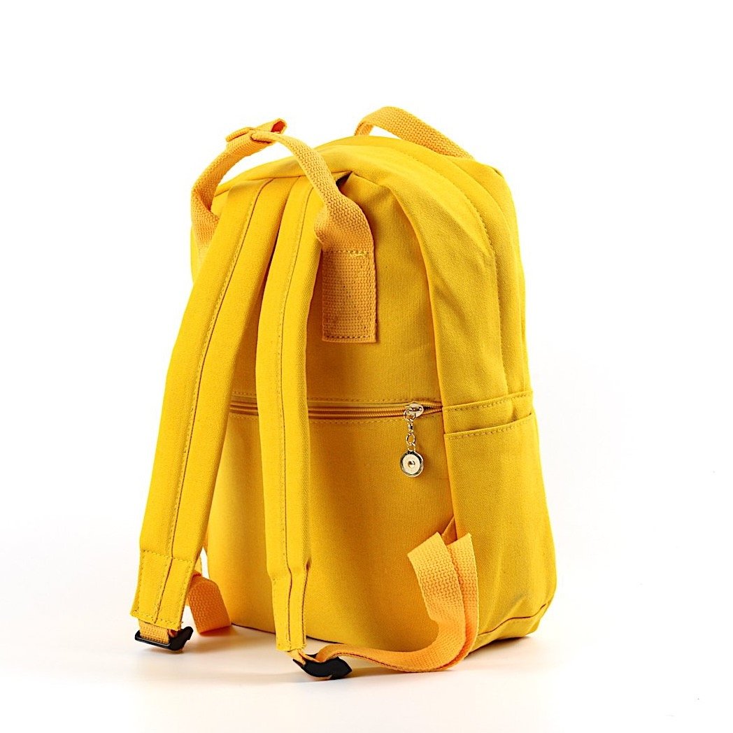 A stylish Mini Backpack in five colors with zipped pockets and adjustable straps, perfect for everyday use.