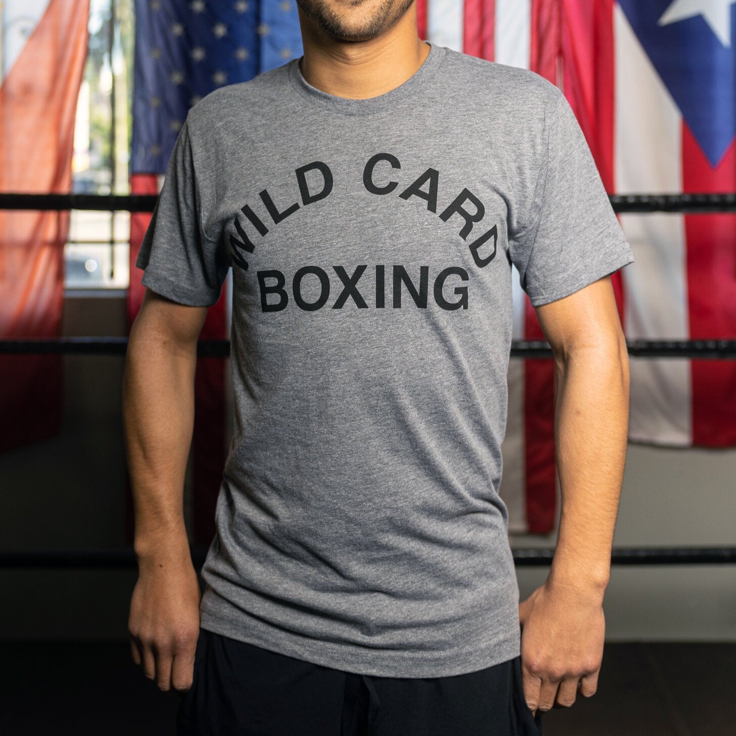 WCB Old School Logo T-Shirt in Grey and Black featuring classic Wild Card Boxing design, soft triblend material, and athletic fit.