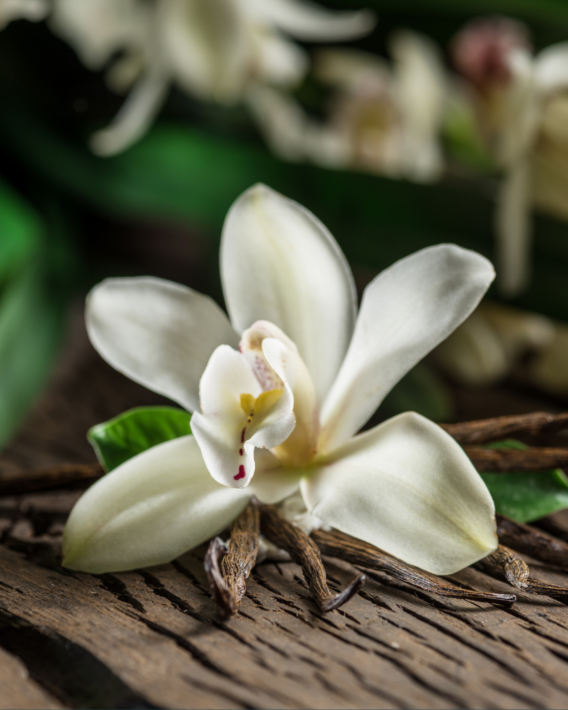 A jar of Misiones Mango Body Butter with a vibrant mango design, showcasing its creamy texture and organic ingredients.