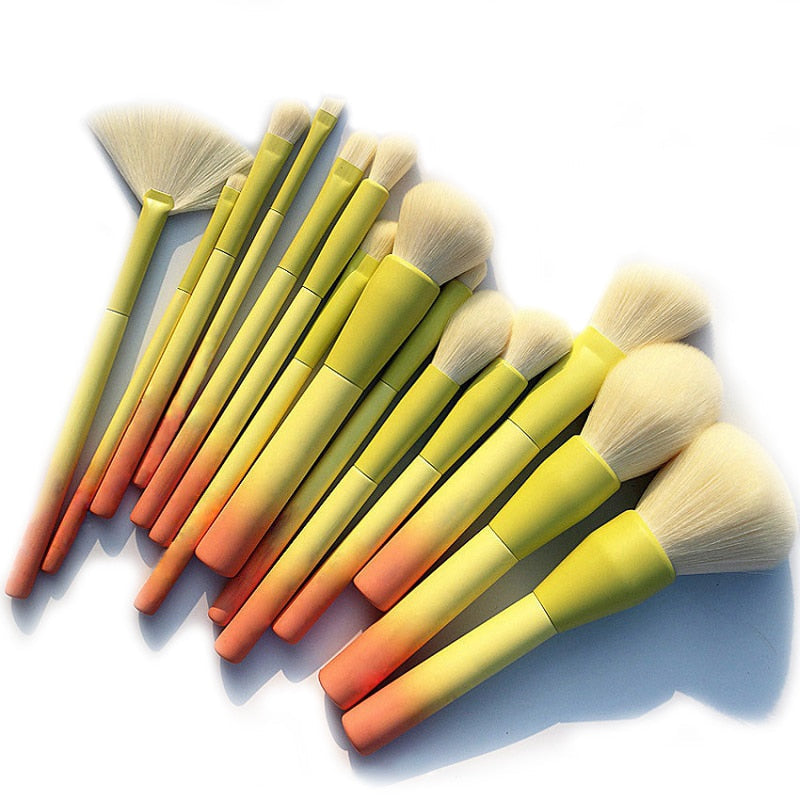 Gradient Color Pro 14pcs Makeup Brushes Set featuring various brush types with colorful gradient handles, ideal for professional makeup application.