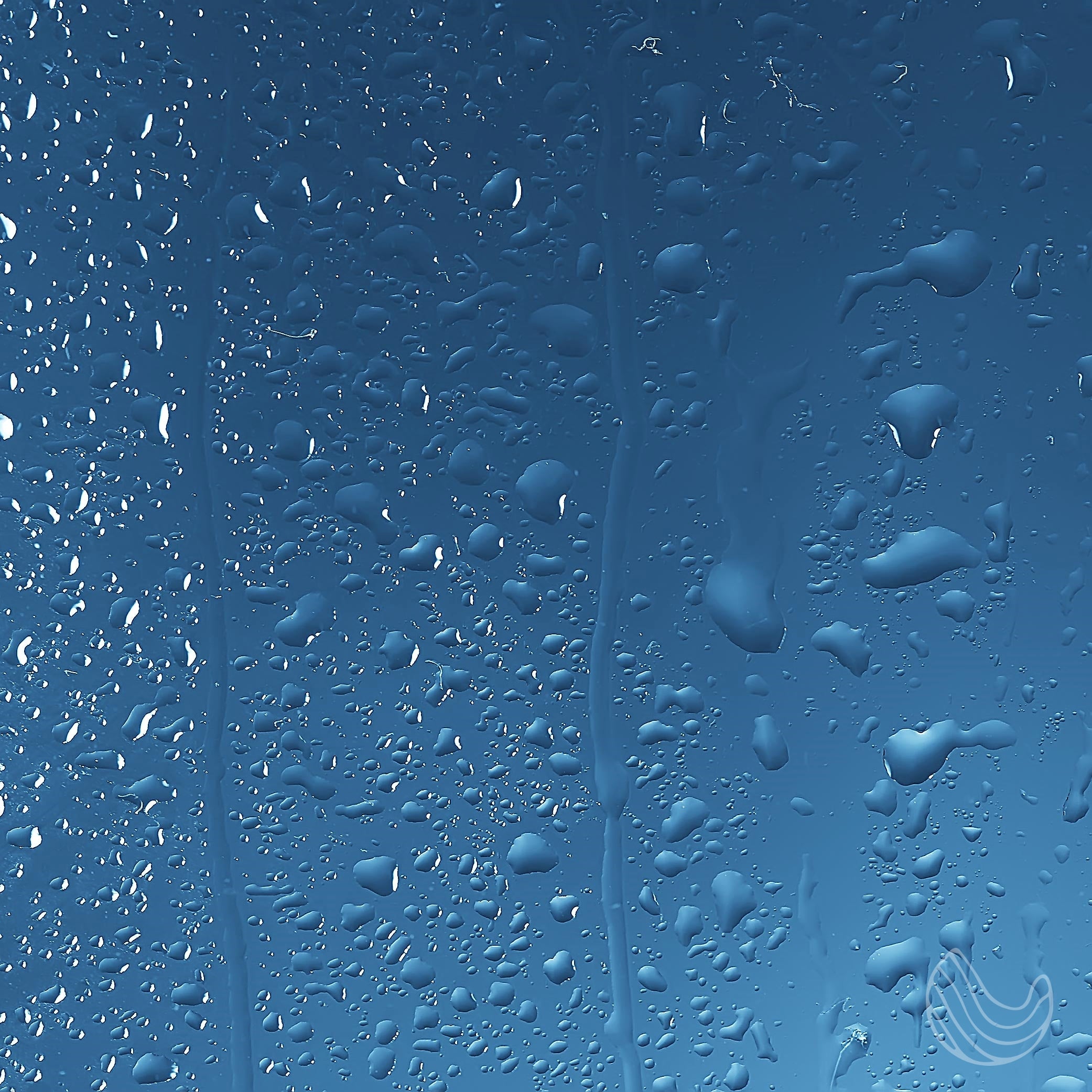 Contentment shower spray bottle featuring eucalyptus and geranium essential oils, designed for a spa-like experience in your shower.