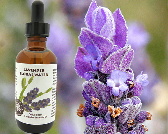 A bottle of Lavender Floral Water with lavender flowers in the background, showcasing its soothing and aromatic properties.