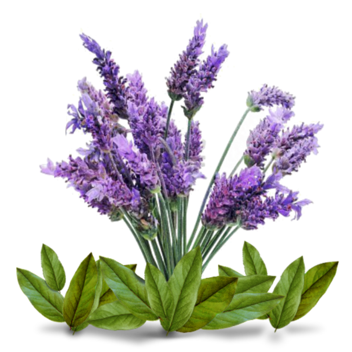 Lavender Tea Tree Clarifying Acne Skin Cream in a 50ml jar, showcasing its natural ingredients and vegan-friendly label.