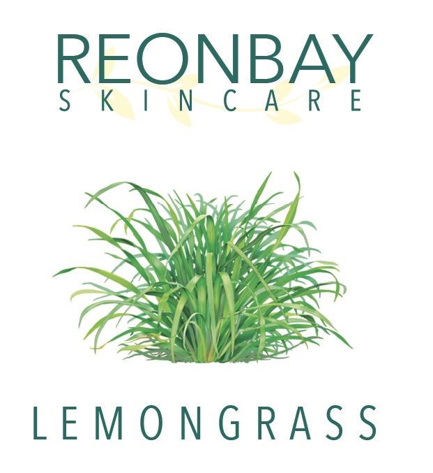 Moisture Restoring Daily Body Lotion in a 4oz bottle, showcasing its natural ingredients and elegant packaging.