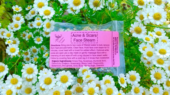 Organic Acne & Scars Face Steam in a glass jar, showcasing its rich, herbal blend with Himalayan Sea Salt and various oils, surrounded by fresh herbs.