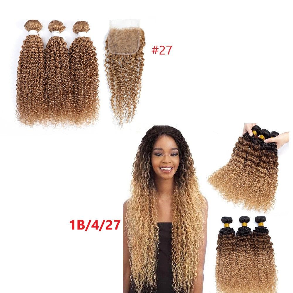 10A Grade Ombre Kinky Curly Hair Bundles with 4x4 Lace Closure, showcasing beautiful curls and vibrant colors.