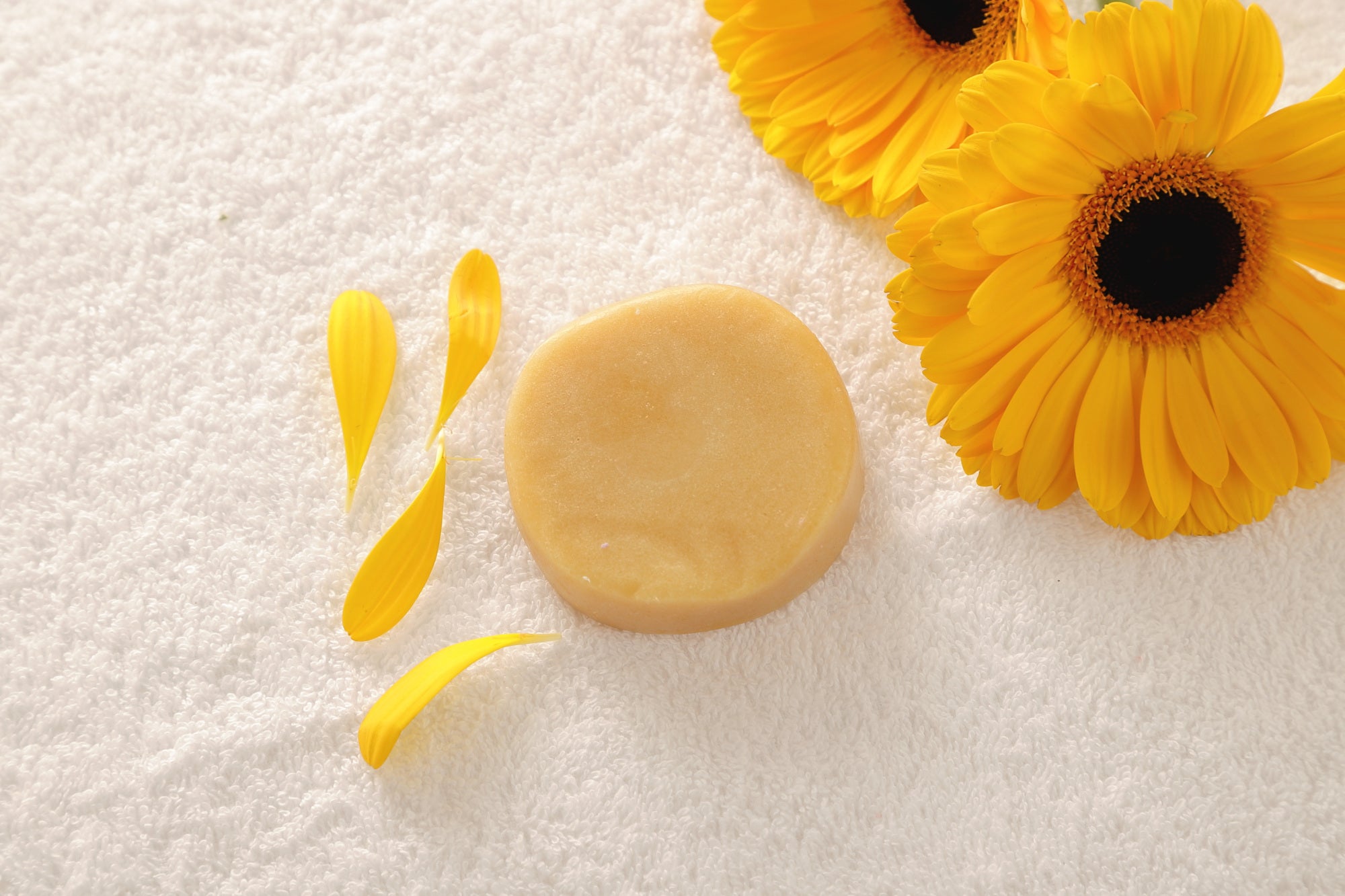 All-Natural Conditioner Bar in citrus scent, eco-friendly and zero-waste, showcasing its compact size and natural ingredients.