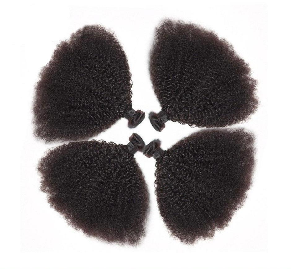 BeuMax 10A Grade 3/4 Afro Kinky Curly bundles with 13x4 Frontal displayed elegantly, showcasing the natural curls and texture.