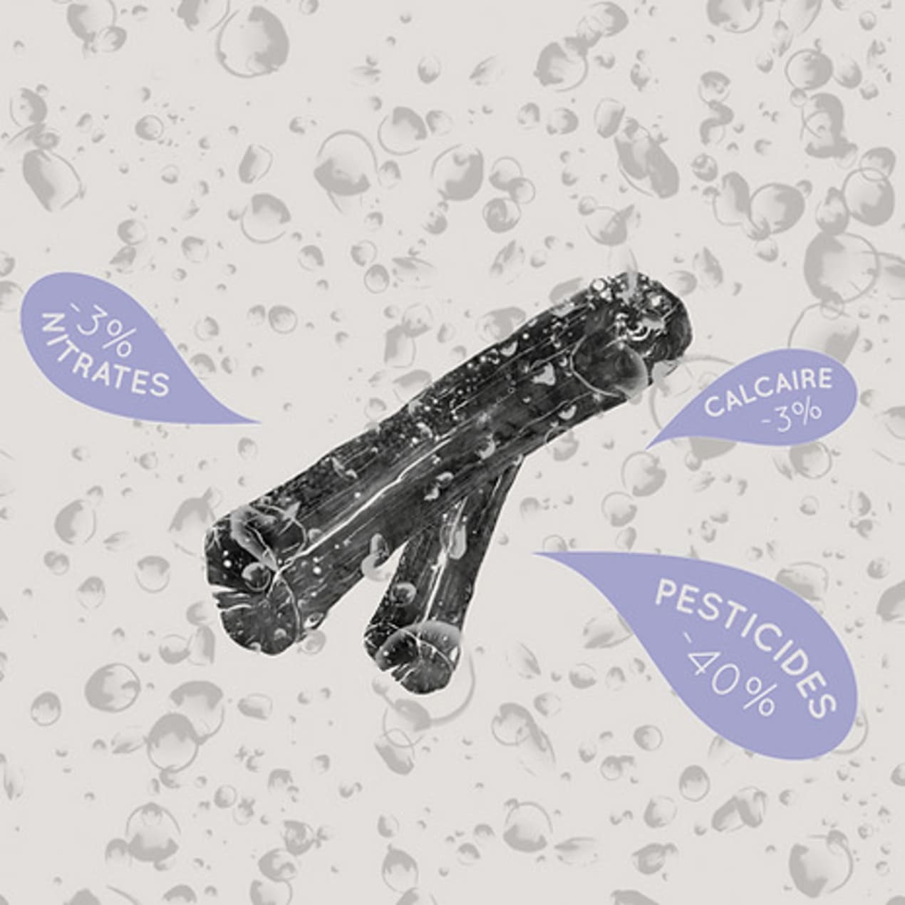 Lot de 2 charbons végétaux français pour filtration d'eau, adaptés aux gourdes et contenants étroits, en bois de Charme, Hêtre et Frêne.