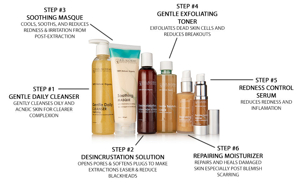 A complete Desincrustation Set featuring six stainless steel tools designed for gentle blackhead extraction and pore cleansing.