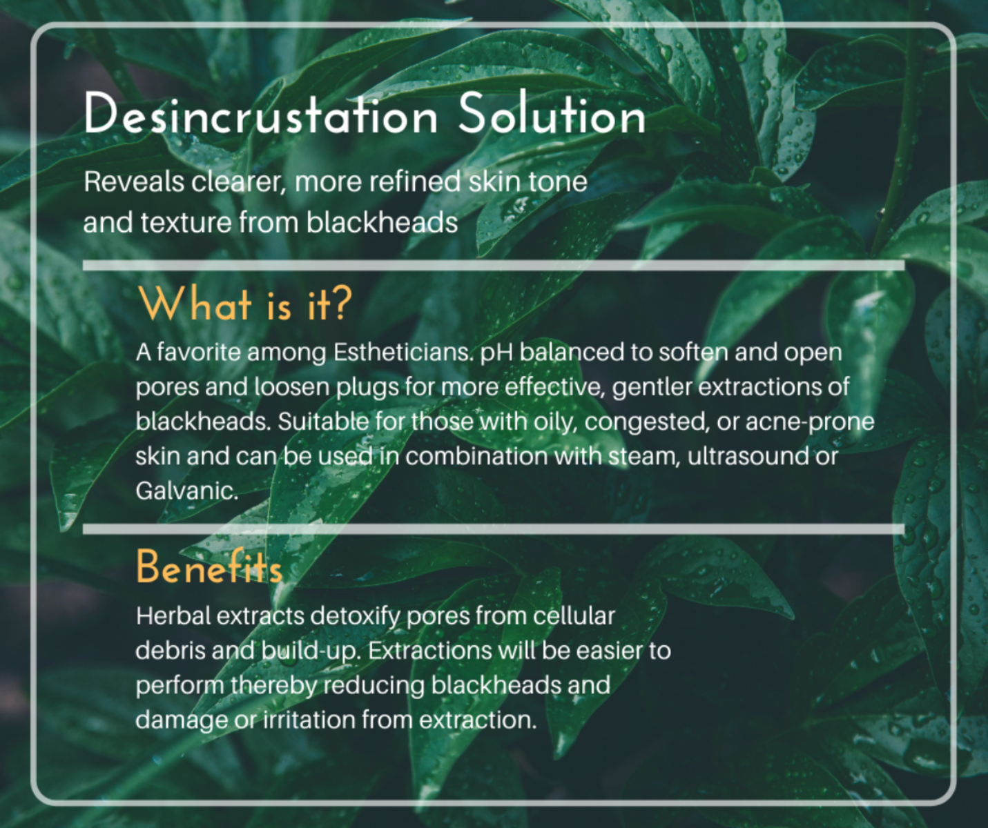 A bottle of Desincrustation Solution for blackhead removal, featuring a sleek design and clear liquid inside, ideal for skincare routines.