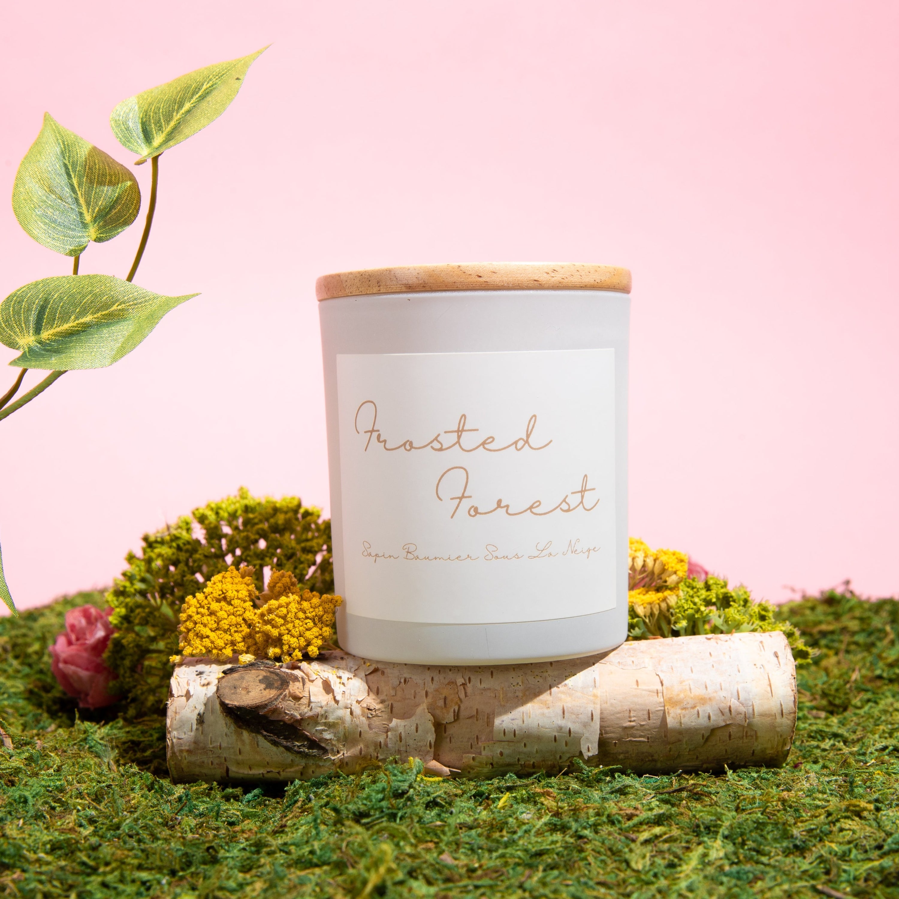 Frosted Forest candle in a glass jar with wooden lid, featuring Blue Spruce and Balsam Fir scent.