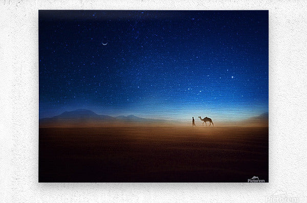 A vibrant community of photographers sharing their unique works and experiences.