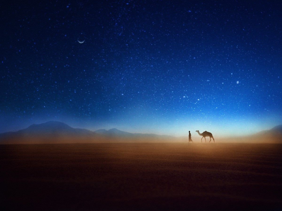 A vibrant community of photographers sharing their unique works and experiences.