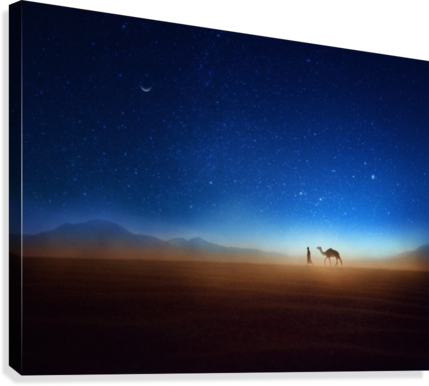 A vibrant community of photographers sharing their unique works and experiences.