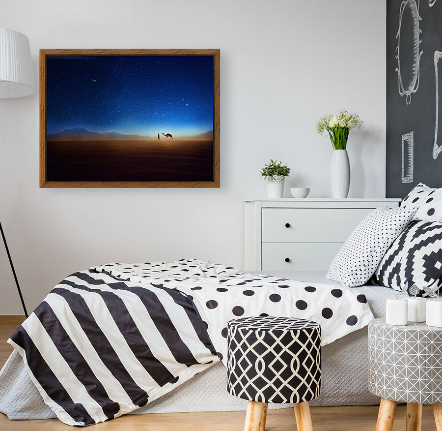 A vibrant community of photographers sharing their unique works and experiences.