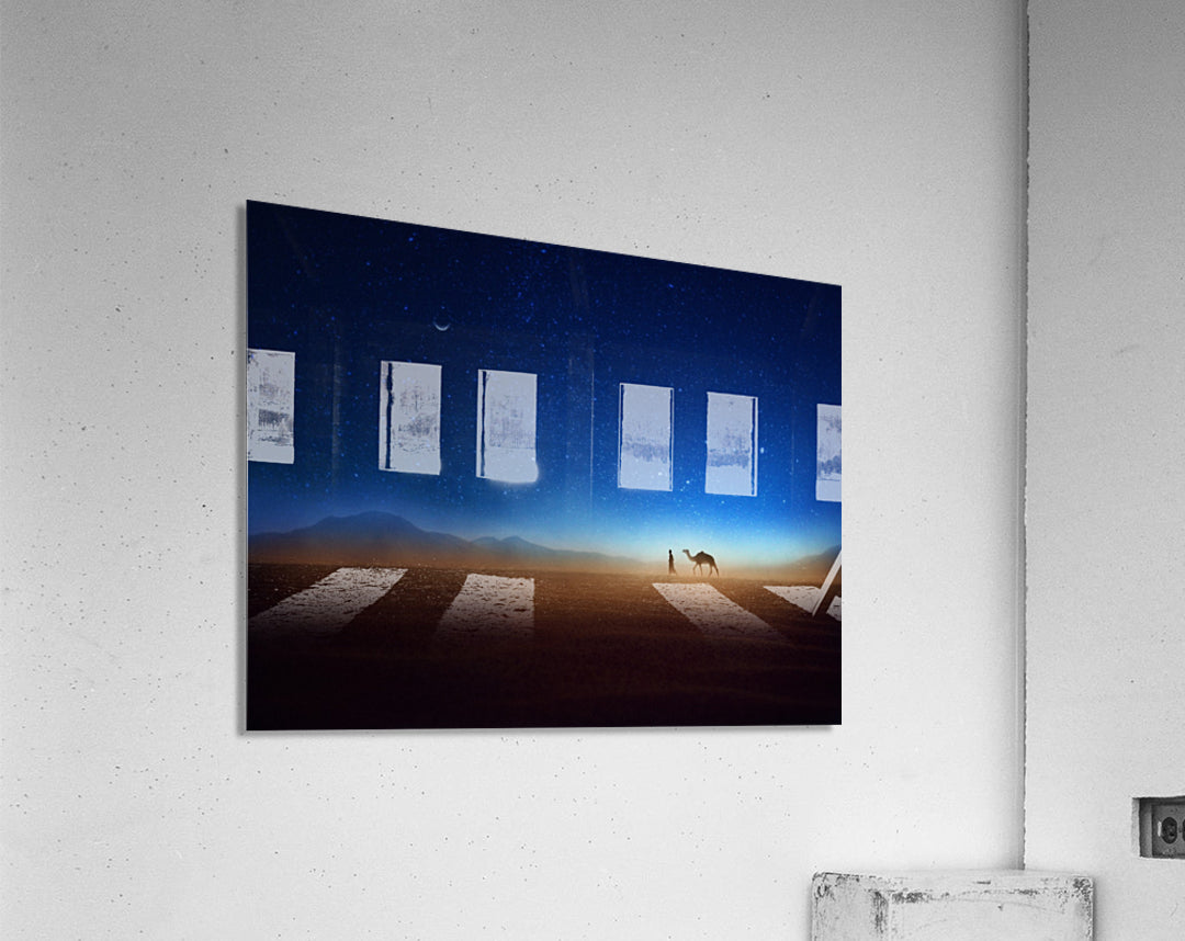 A vibrant community of photographers sharing their unique works and experiences.