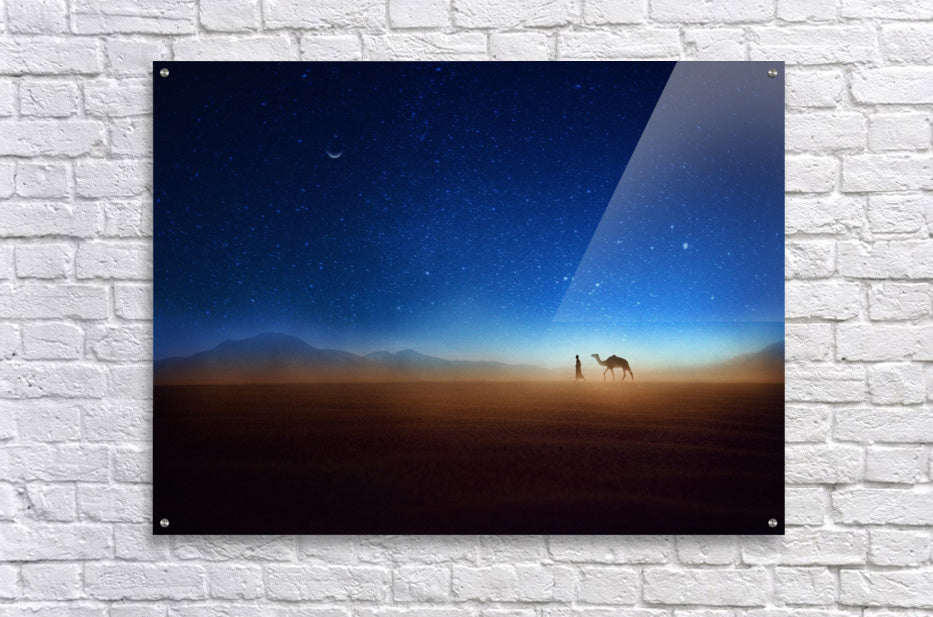 A vibrant community of photographers sharing their unique works and experiences.