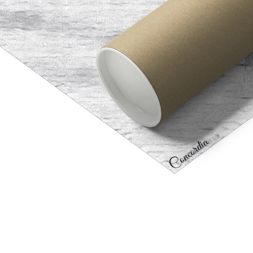 Head C-Type Print silver halide colour paper showcasing brilliant whites and vibrant colours for professional photography.