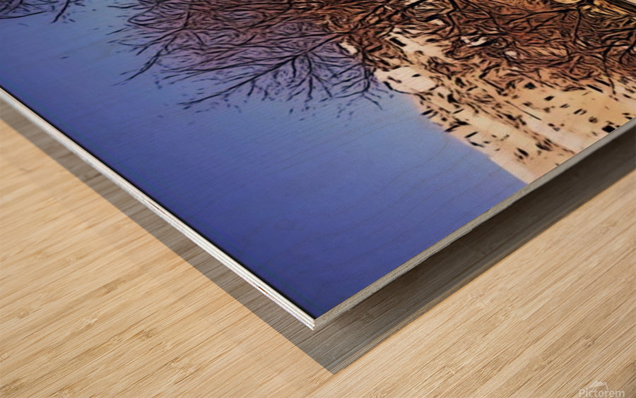 A vibrant artwork titled 'Linda in Kabul' showcasing Afghan culture with intricate details and rich colors.