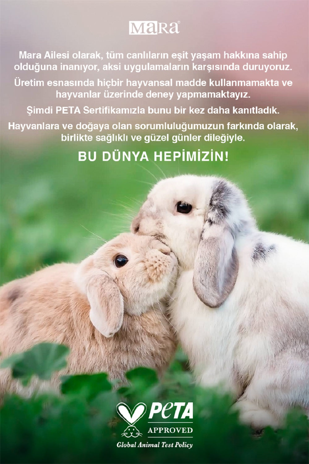 Mara Schachtelhalm Pflanzen Shampoo 500ml und Haarspülung 70ml, ideal gegen Haarausfall und zur Stärkung der Haarsträhnen.