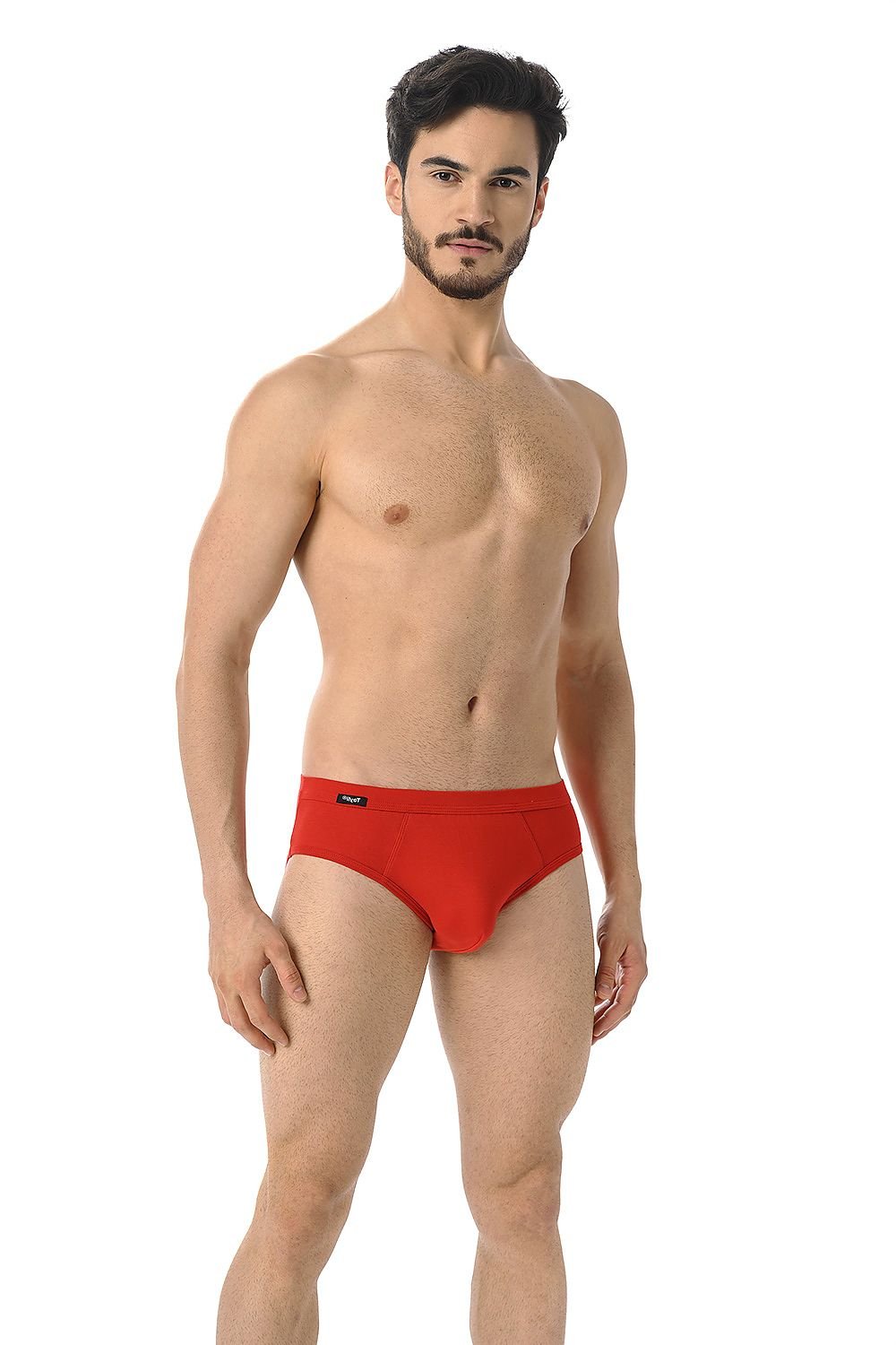 A pack of Teyli men's briefs in five colors: black, white, navy blue, gray, and red, showcasing their soft cotton and Lycra blend.