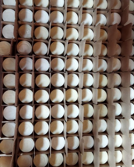 Organic Certified Balancing Solid Shampoo bar in Lemon & Lime scent, showcasing its natural ingredients and eco-friendly packaging.