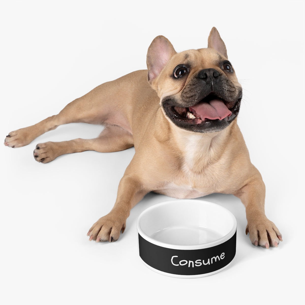 Custom ceramic pet bowl for cats and dogs, featuring a sleek glazed finish and personalized design area.