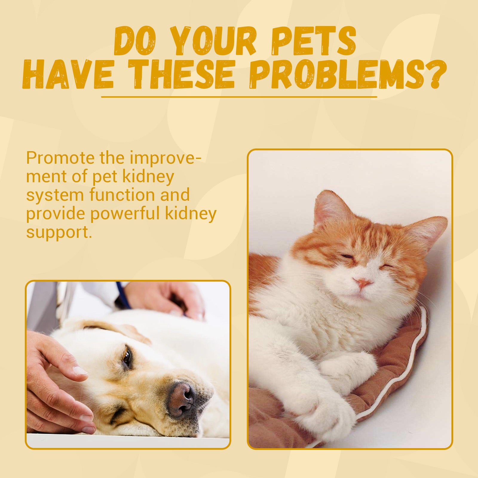 A bottle of Pet Nutritional Supplements designed to enhance energy and vitality in pets, featuring a blend of natural herbal extracts.