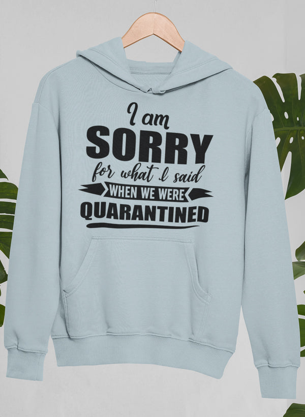 Main I Am Sorry For What I Said When We Were Quarantined Hoodie image