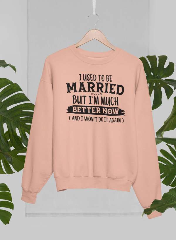 Main I Used To Be Married But I'm Much Better Now And I Won't Do It Again image