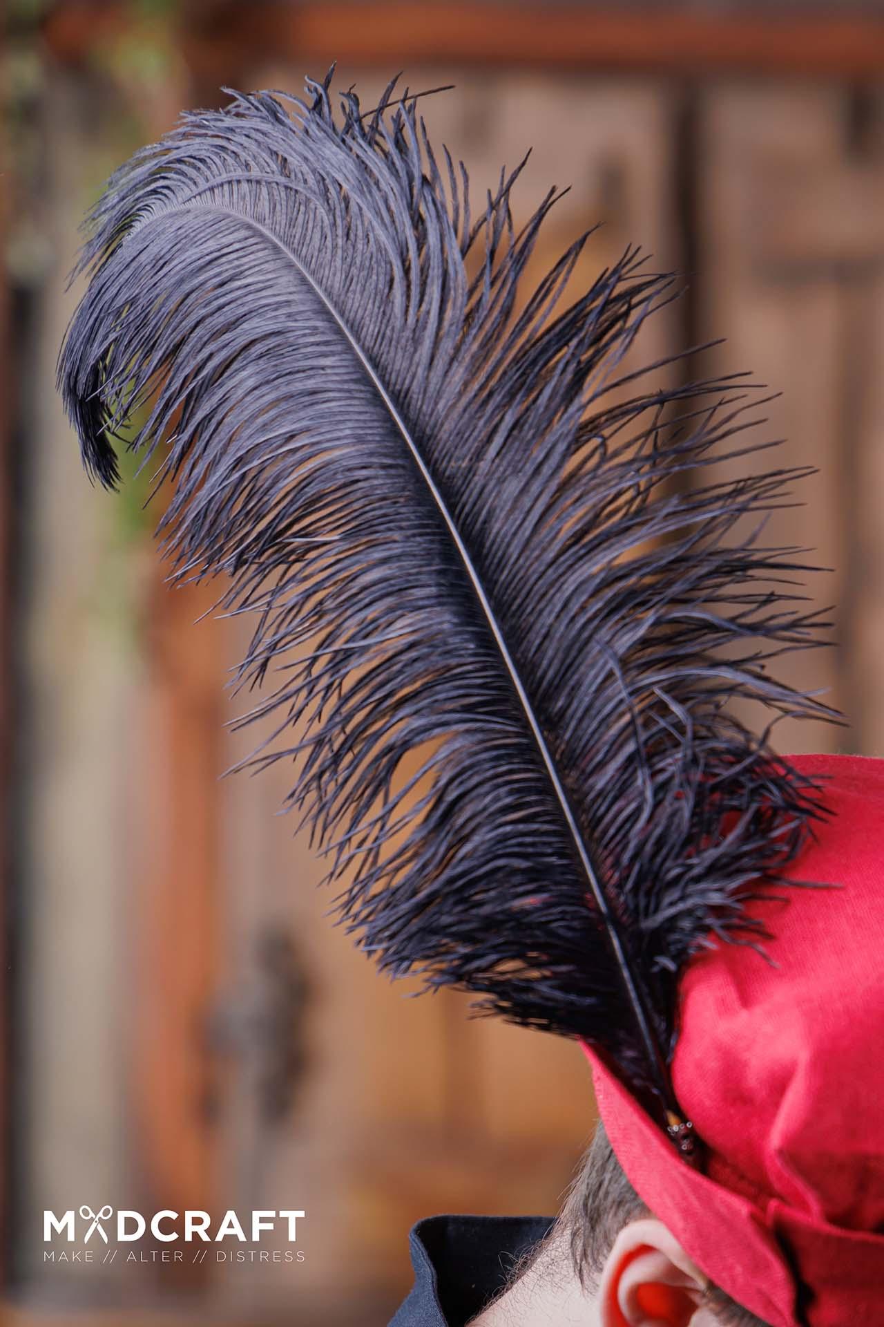 A striking black ostrich feather measuring 45-50cm, perfect for enhancing medieval hats and costumes.