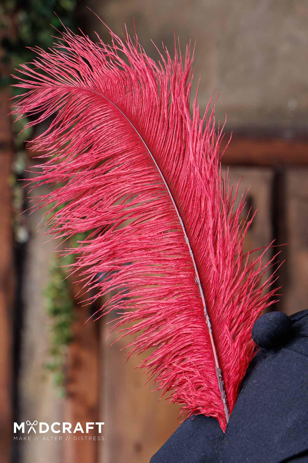 A collection of dark red ostrich feathers, measuring 45-50cm, showcasing their natural beauty and unique texture, perfect for medieval headwear.