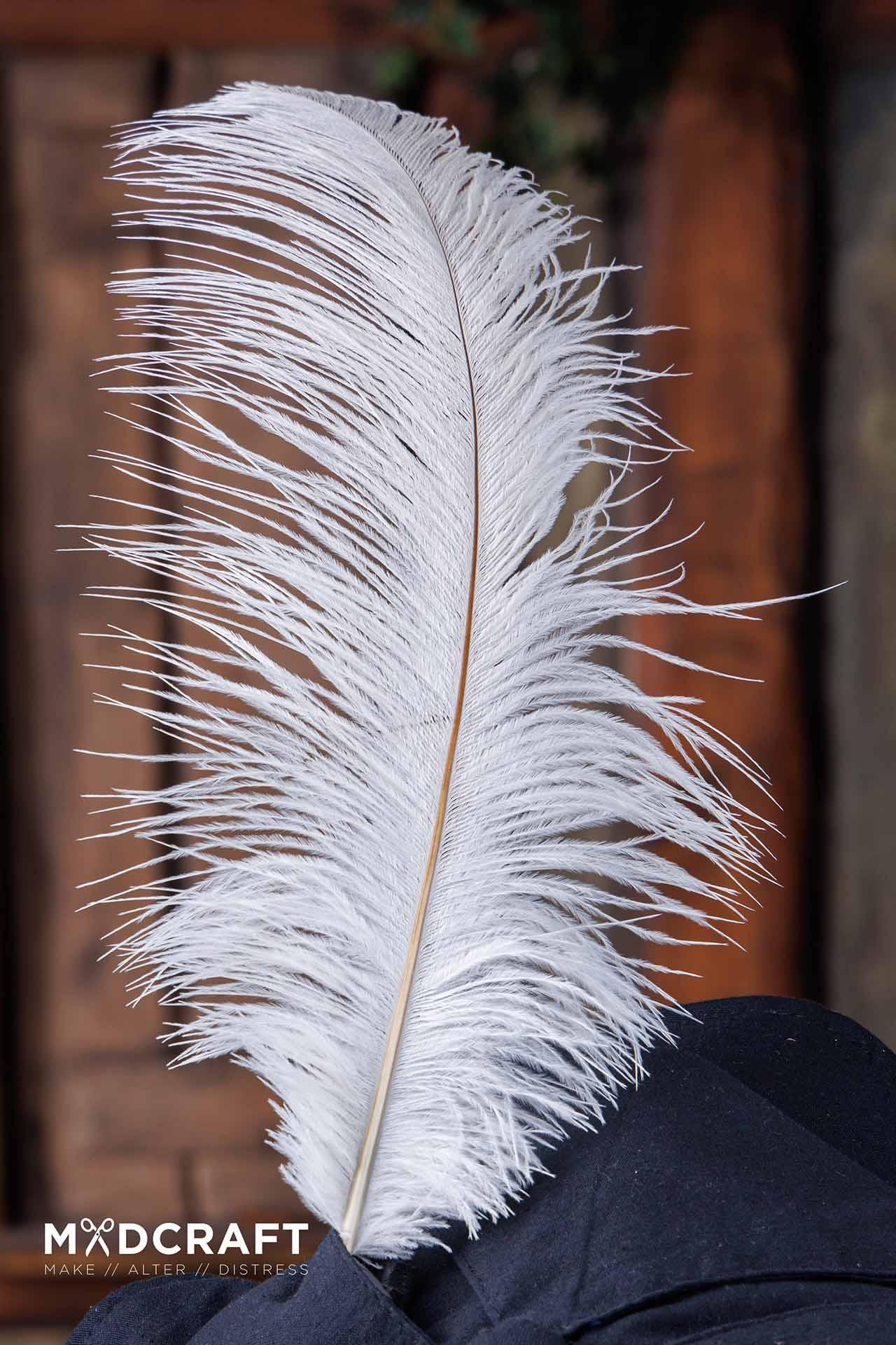 A collection of elegant white ostrich feathers, measuring 45-50cm, showcasing their natural texture and beauty, perfect for medieval-themed headwear.