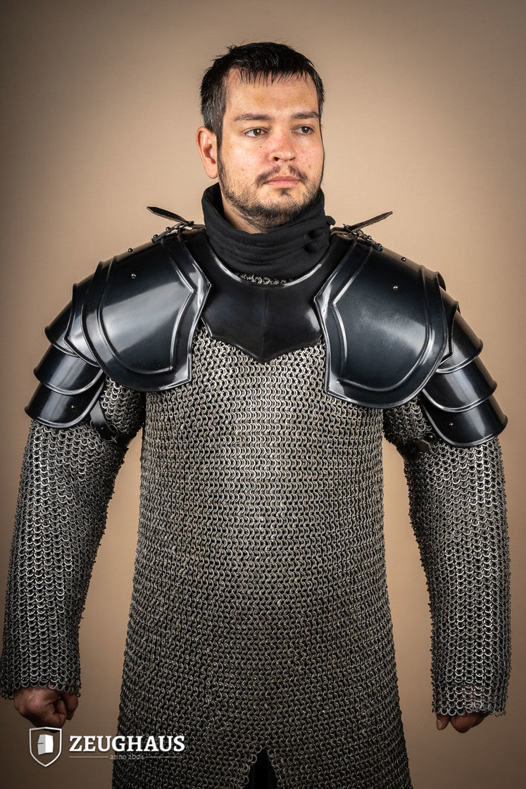 Burnished Warrior Pauldrons featuring four-part upper arm plates and robust buckles for secure fit.