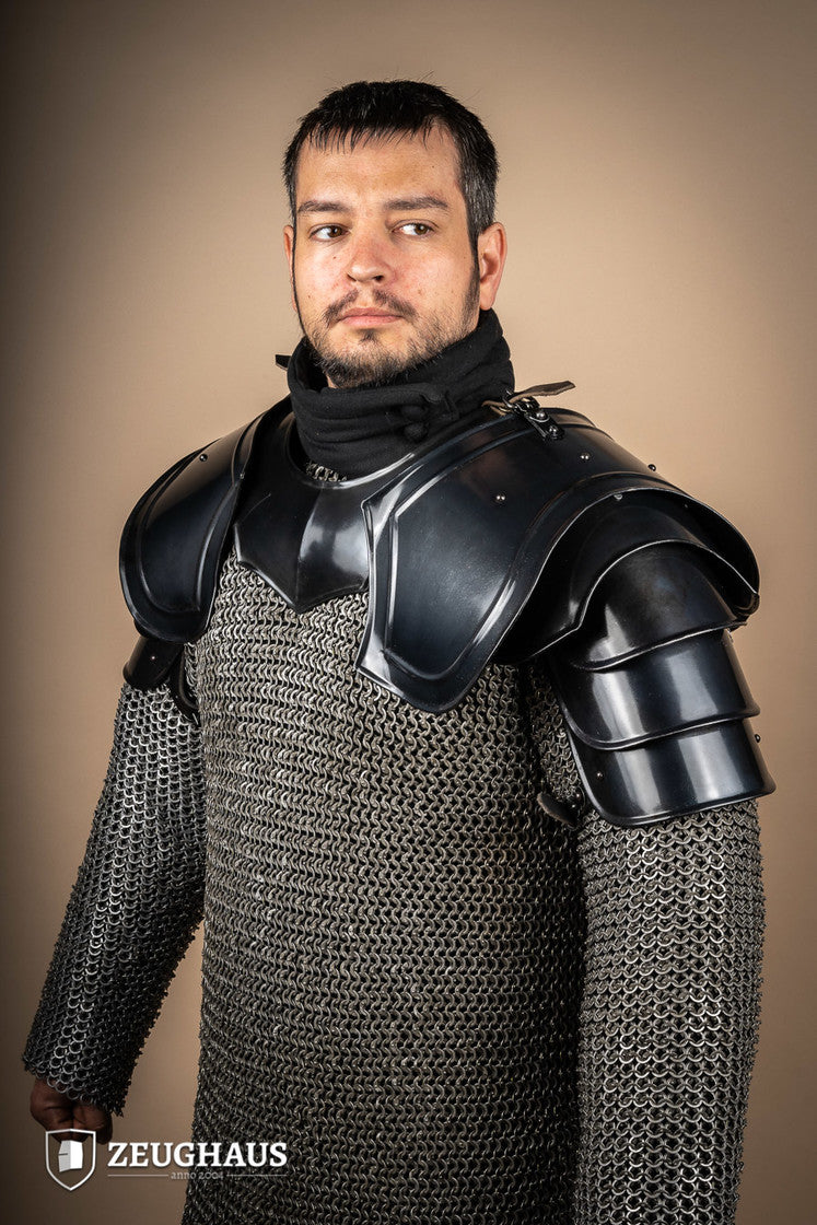 Burnished Warrior Pauldrons featuring four-part upper arm plates and robust buckles for secure fit.