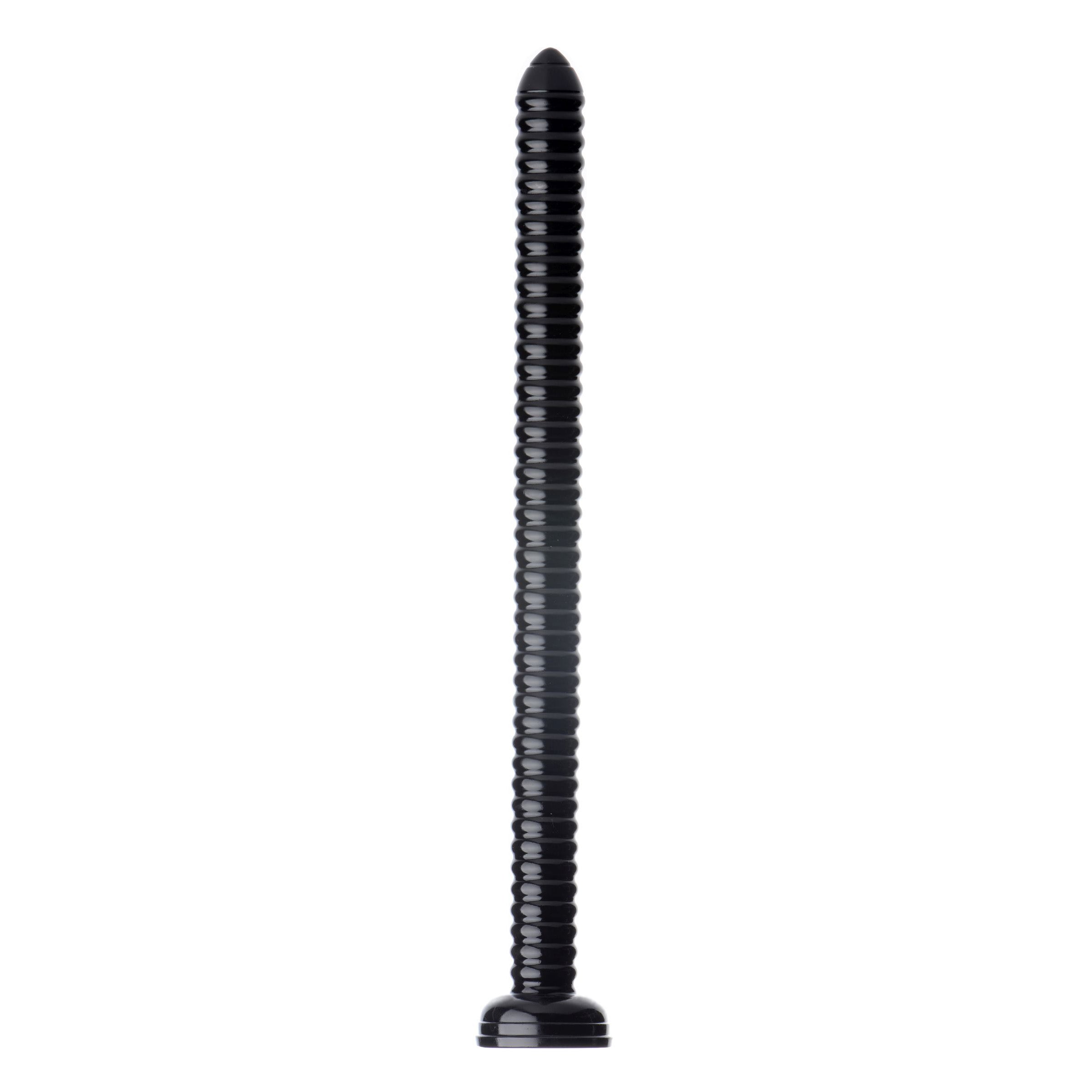 Hosed 19 Inch Ribbed Anal Snake, a long black dildo with ribbed texture and suction base for enhanced pleasure.