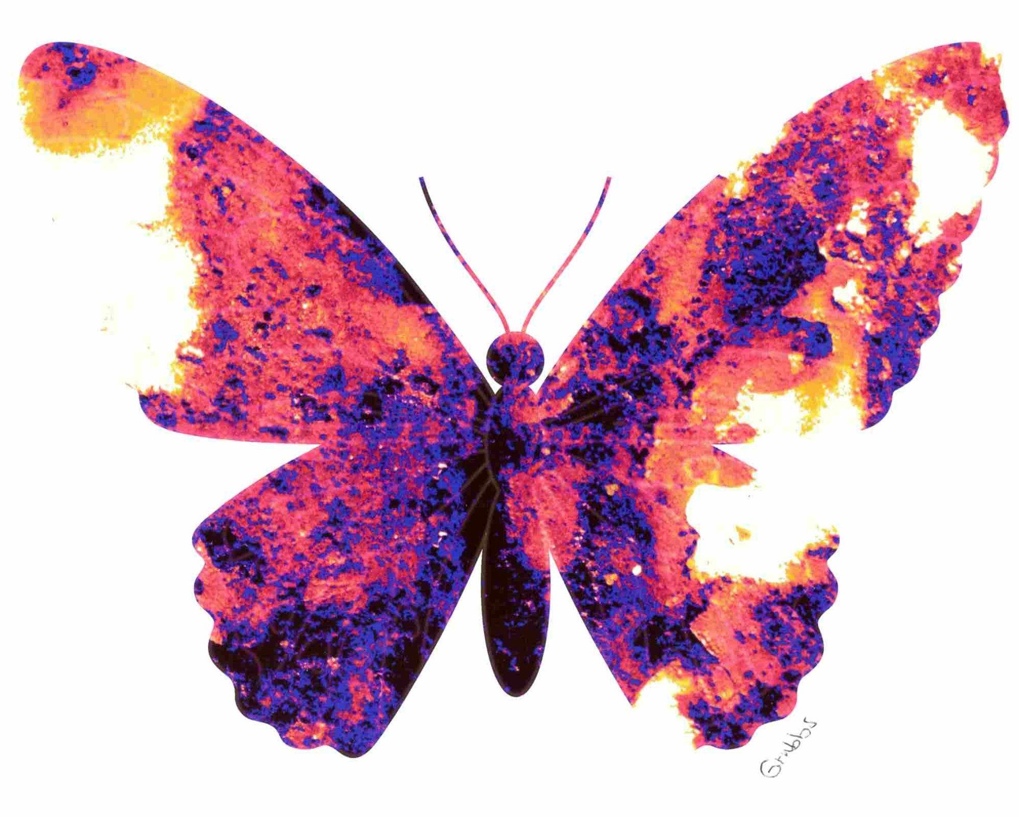 A vibrant pop art canvas print featuring a butterfly with iron wings, showcasing bright colors and a modern design, perfect for home or office decor.