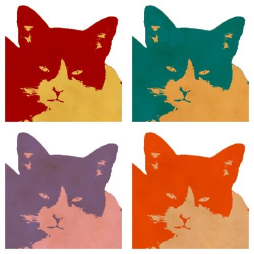Cats Today 4-Panel Pop Art Canvas Print featuring colorful cat designs on a modern canvas.