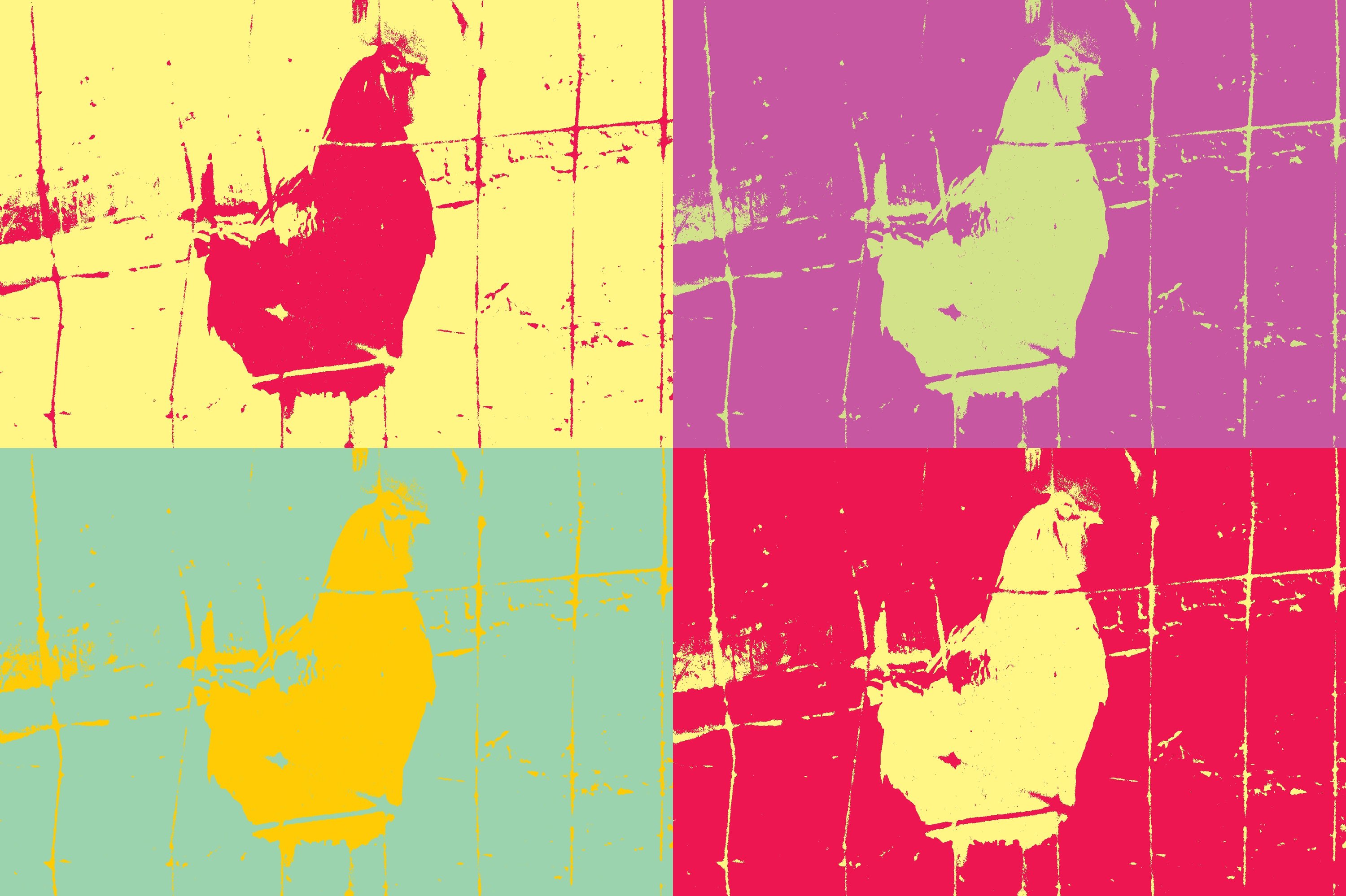 Colorful Chicken 4-Panel Abstract Pop Art Print titled Barnyard Hero, showcasing vibrant abstract chickens in a playful design.