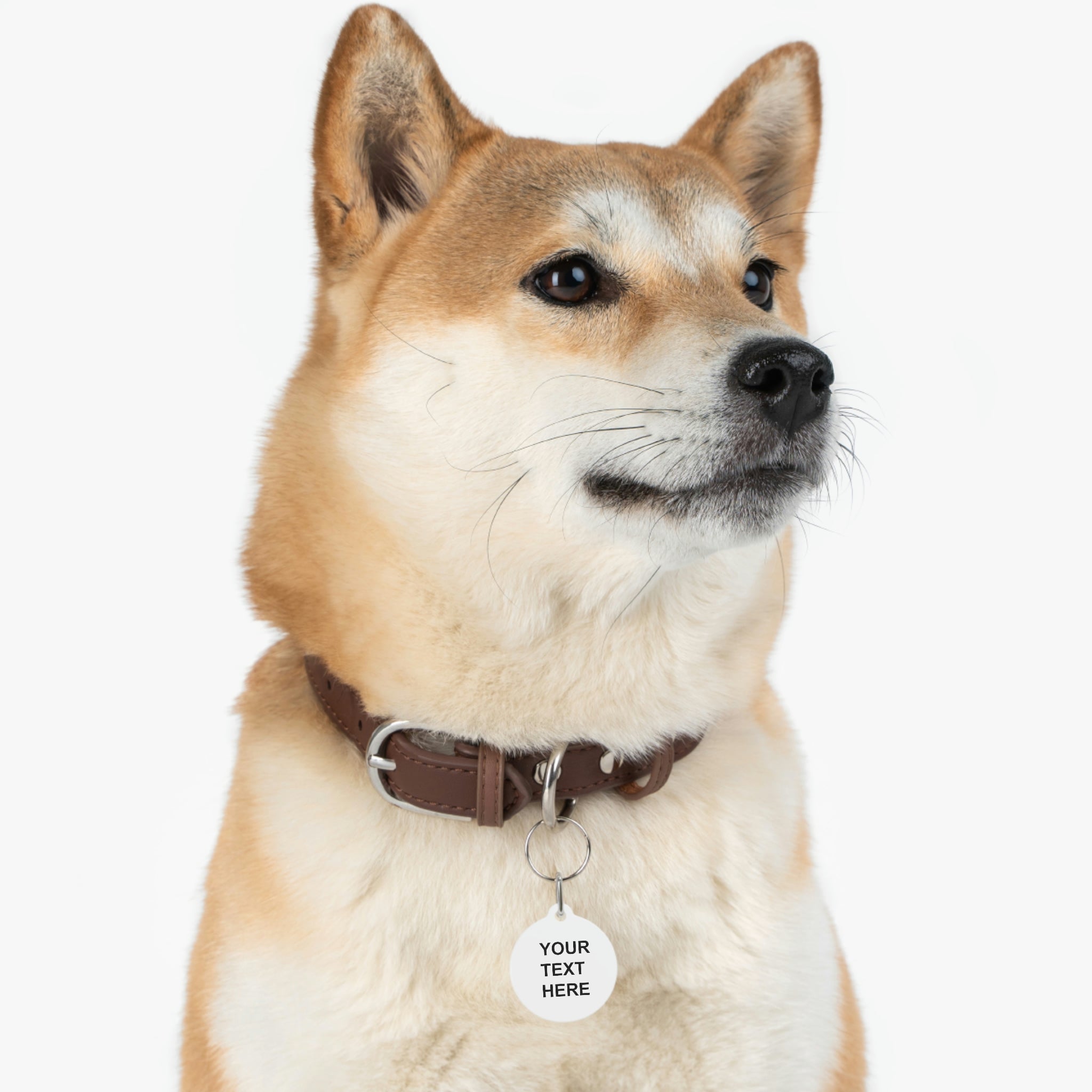 A personalized pet tag made of white coated metal, featuring custom text on both sides, attached with a sturdy metal clip.