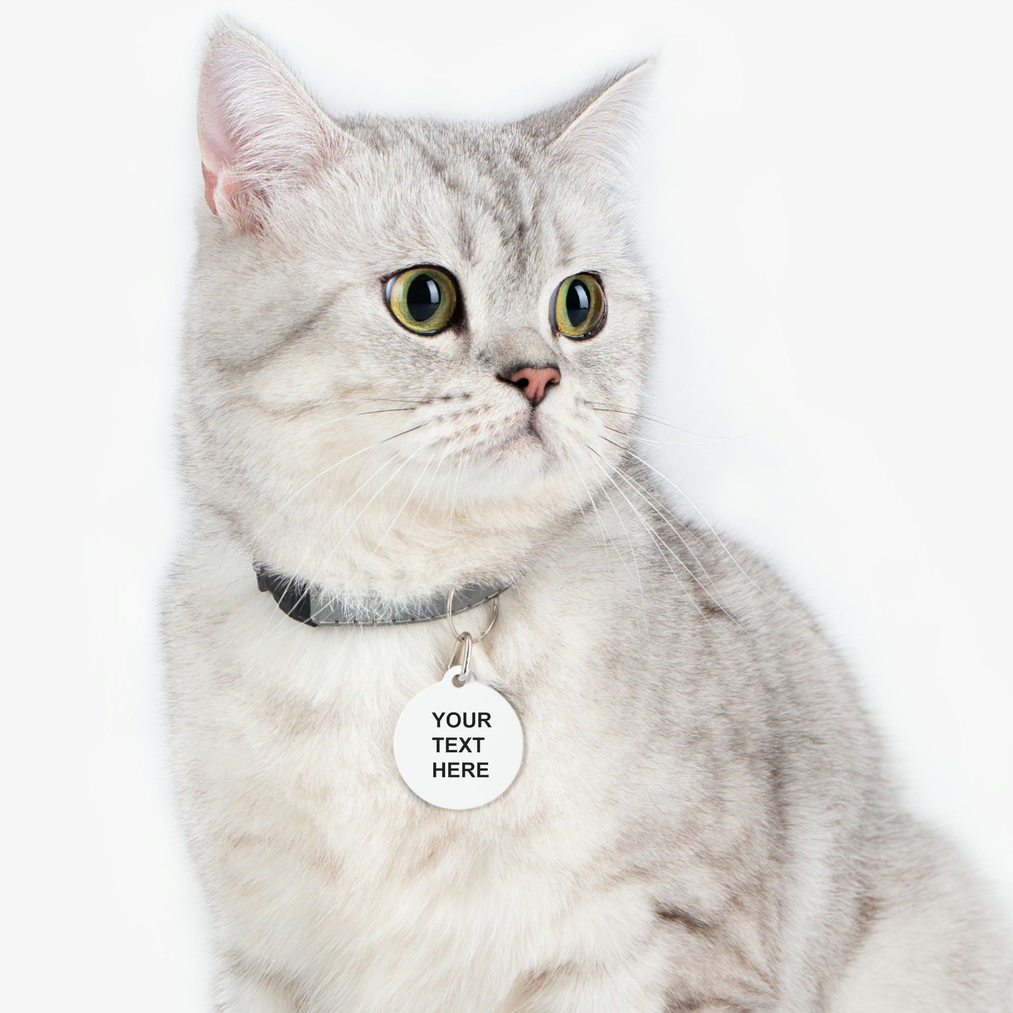 A personalized pet tag made of white coated metal, featuring custom text on both sides, attached with a sturdy metal clip.