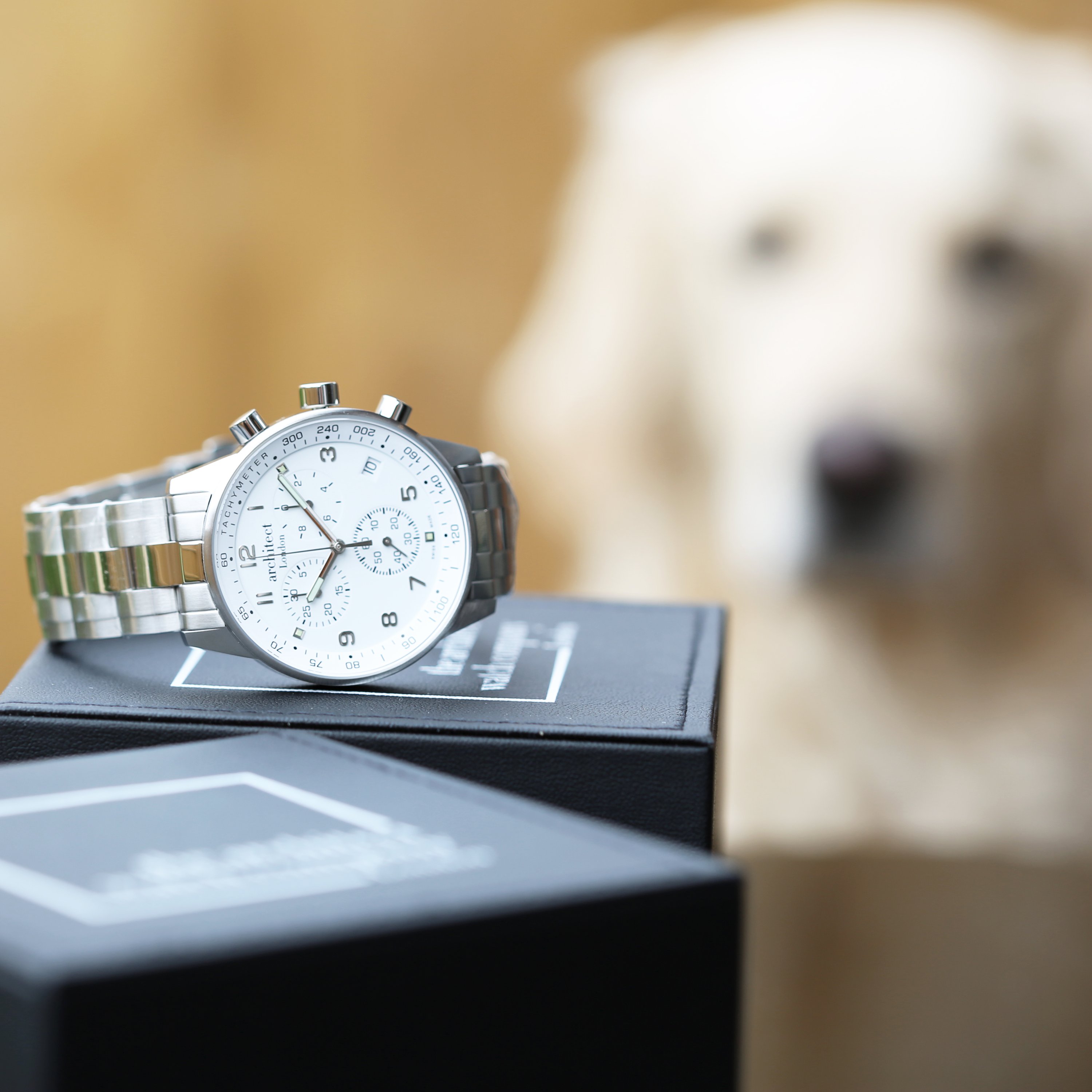 Swiss Made Men's Architect Endeavour watch with personalized engraving, showcasing its sleek design and high-quality materials.