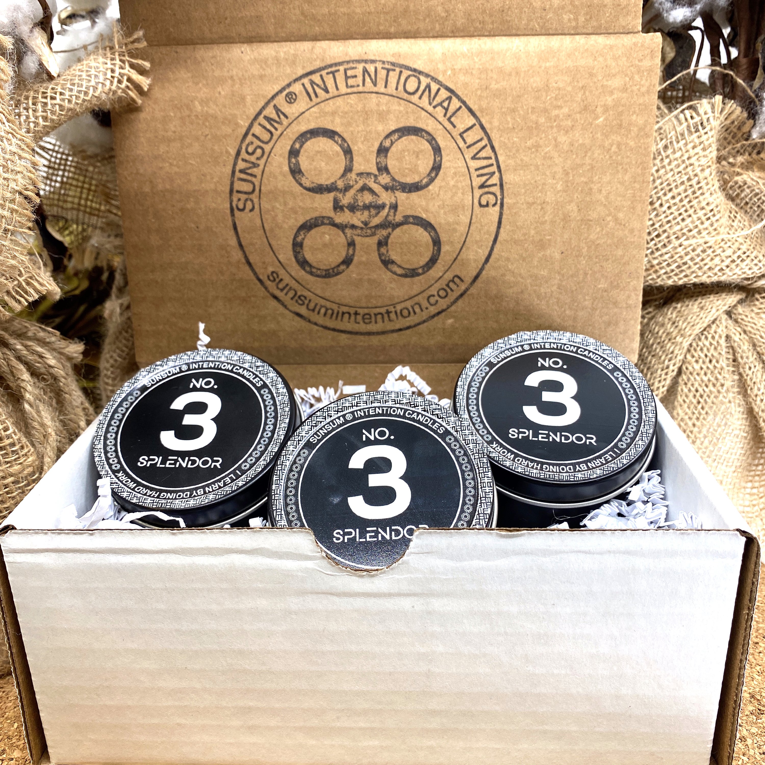 Spirit Number 333 Gift Set featuring handmade products with mango, coconut milk, and honey aromas, including candles, body oils, and wax melts.