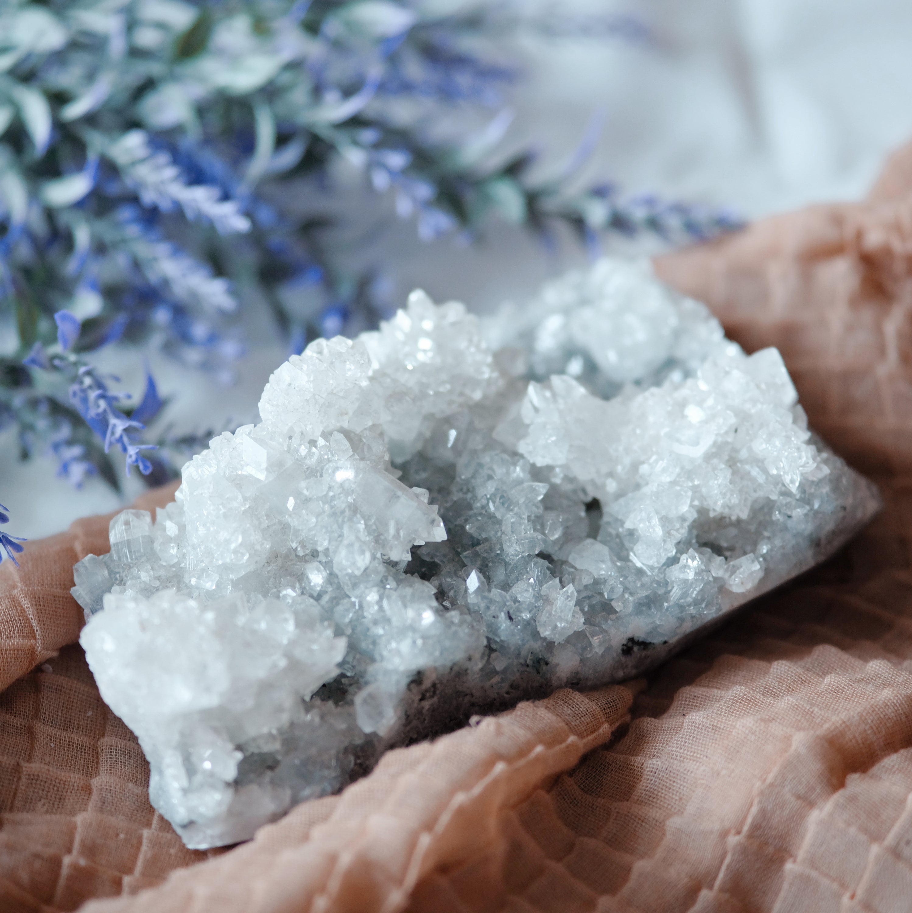 A stunning cluster of Apophyllite crystals showcasing their unique structure and clarity, reflecting light beautifully.