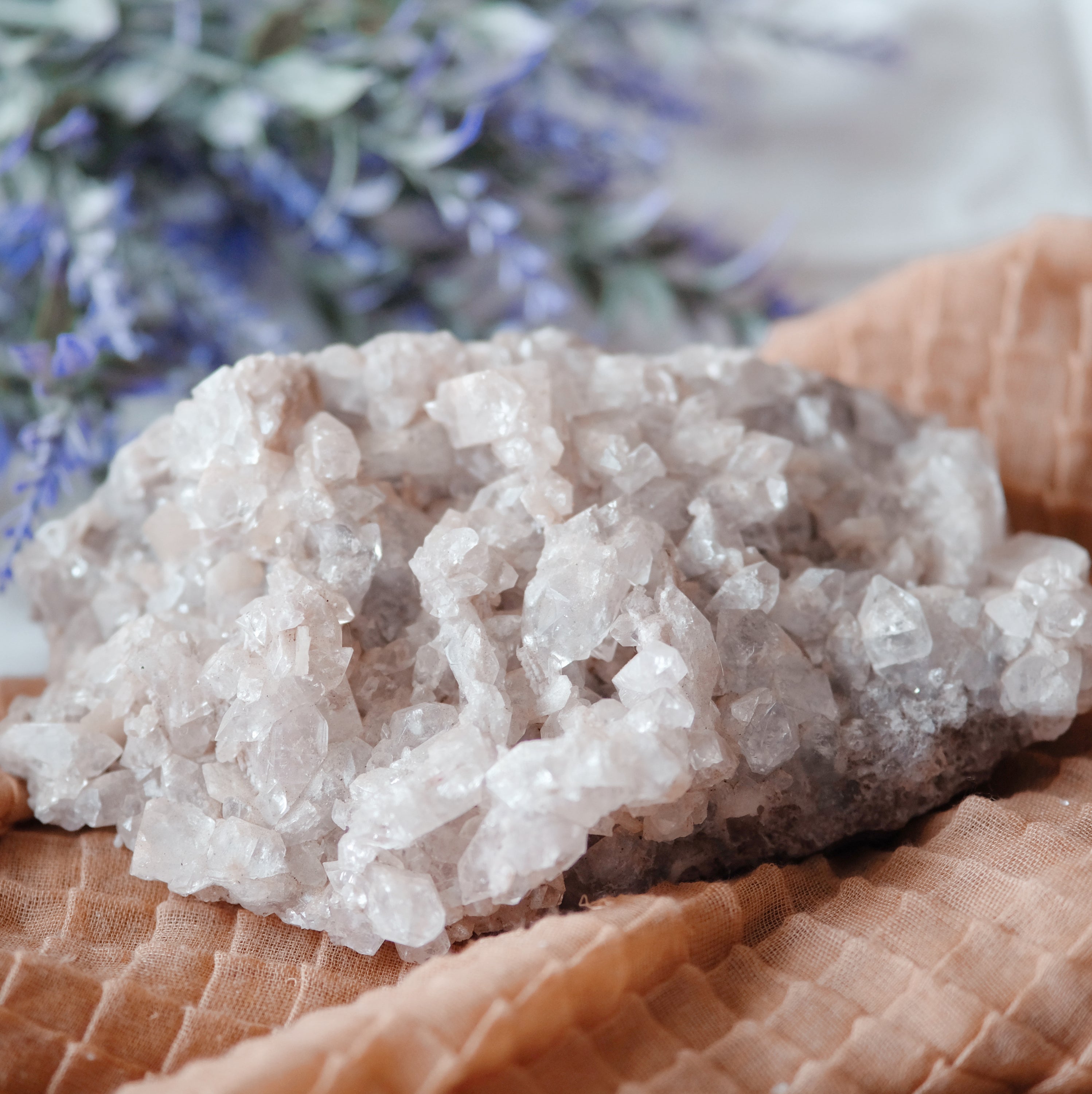 A beautiful cluster of Apophyllite crystals showcasing their unique structure and clarity, reflecting light in various shades.