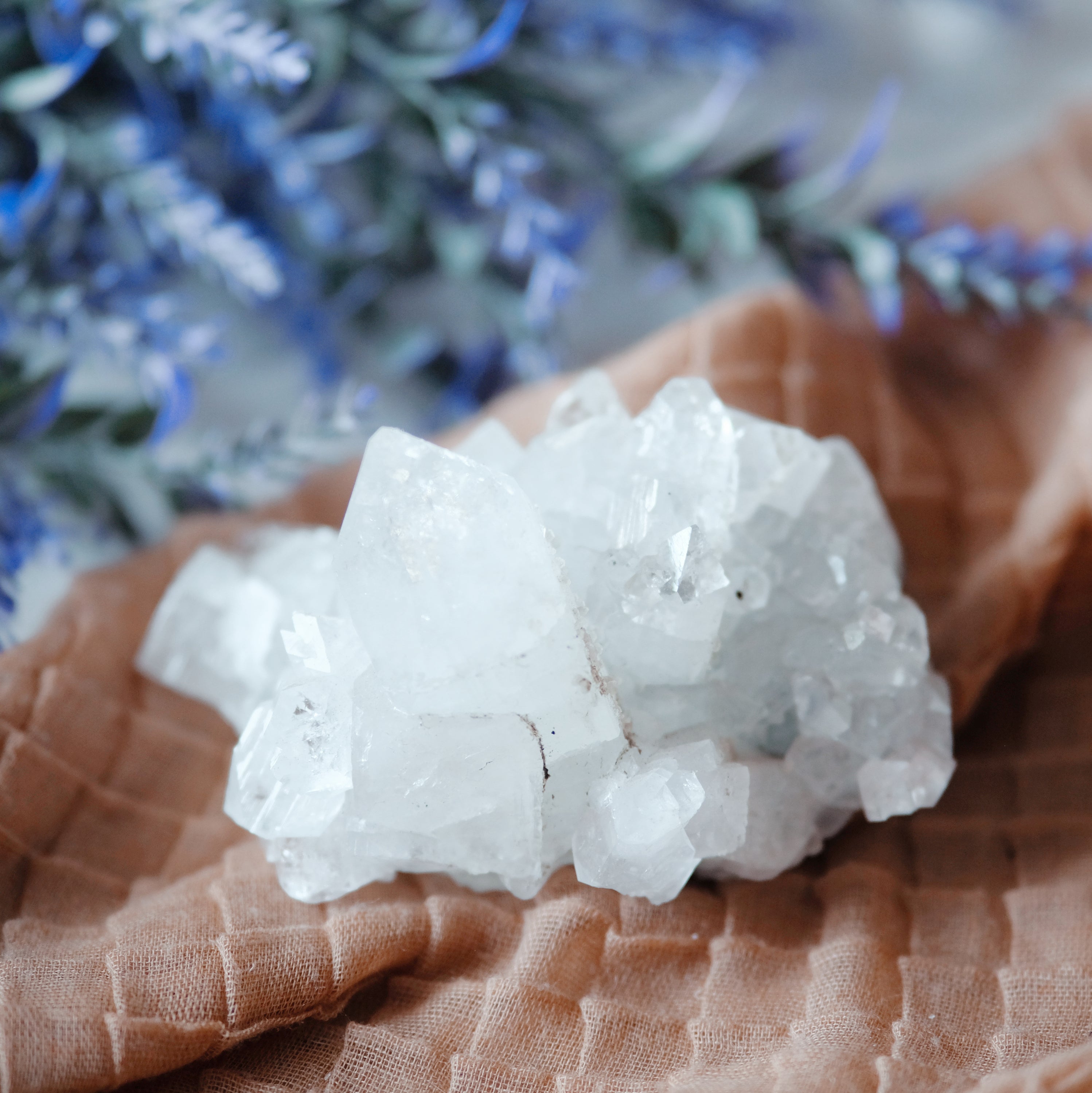 A beautiful cluster of Apophyllite crystals showcasing their unique structure and clarity, reflecting light in various shades of green and white.