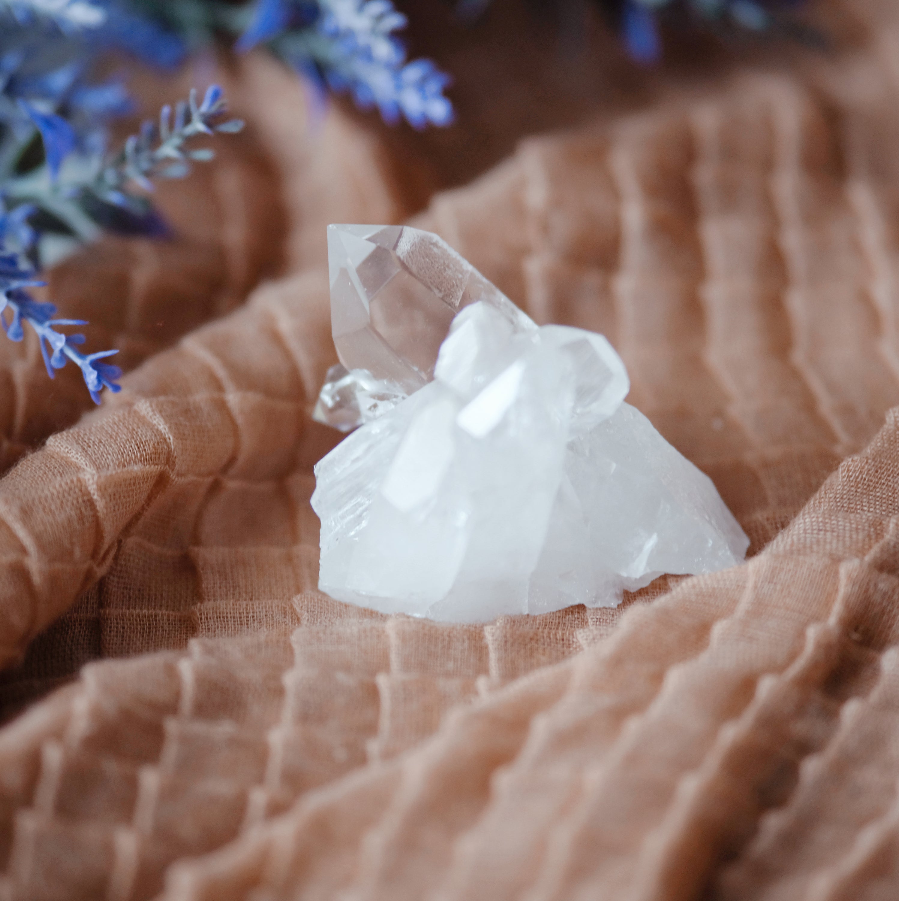 A beautiful Brazilian Quartz Cluster showcasing clear quartz crystals with rainbow inclusions and a Dolphin Bridge formation.
